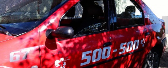 Dacia Logan oznake za Leptir Taxi